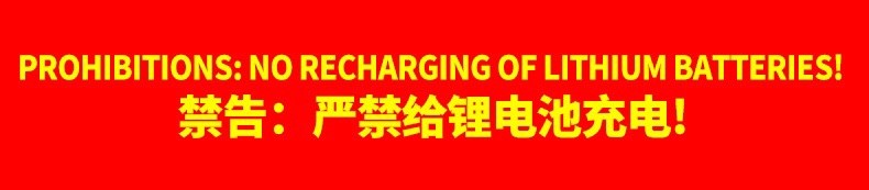 OEM GEL UPS Battery Intelligent Pulse Repair Charger 12V