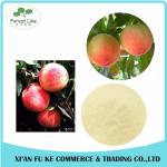 100% Natural Fruit Honey Peach Juice Powder