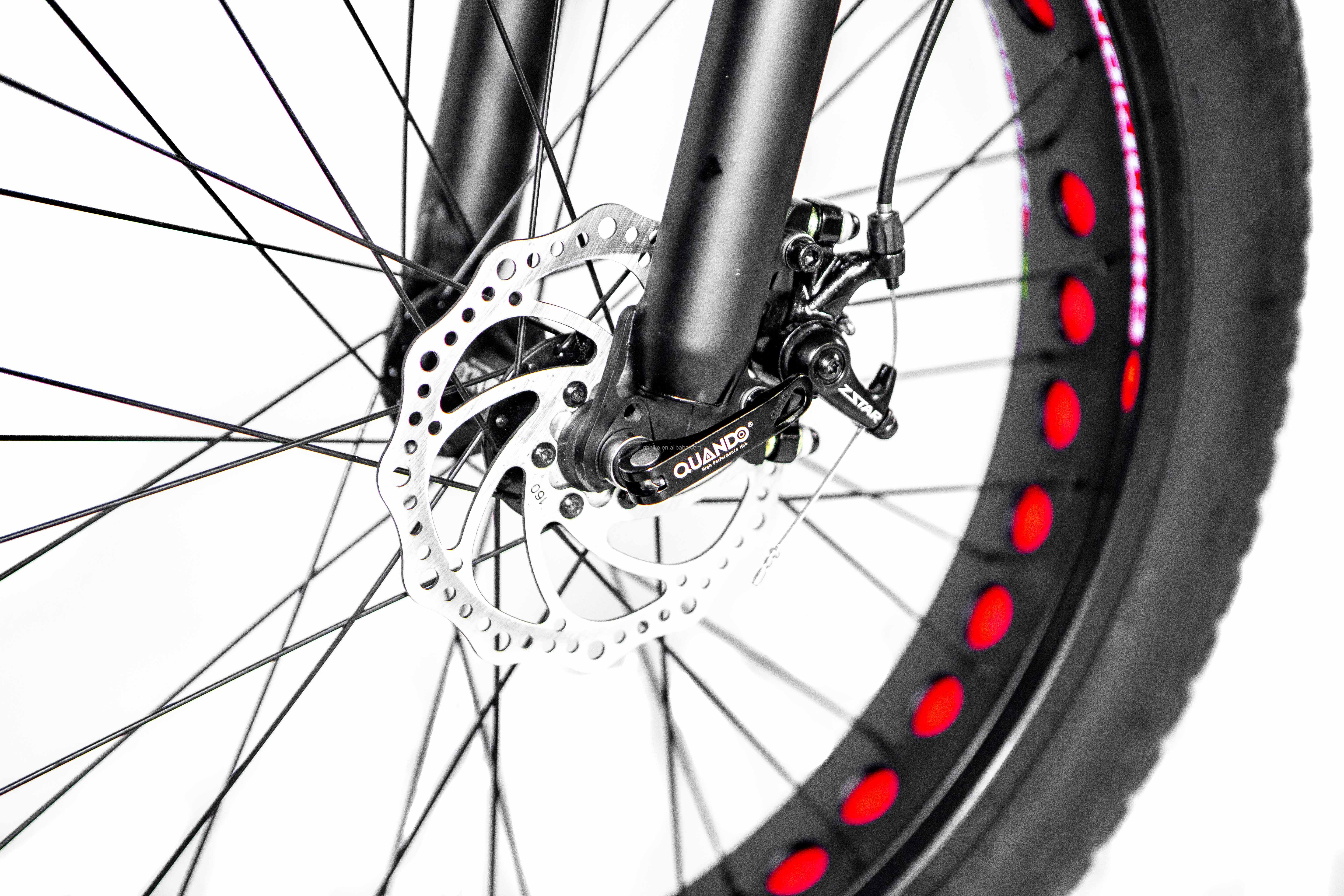 48V 21ah Aluminum Alloy Full Suspension Frame Fat Tire Electric Bike with 1000W Motor
