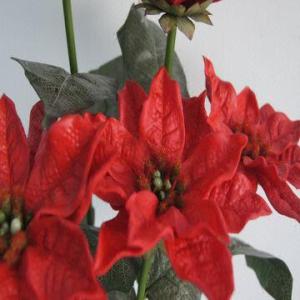 Real Touch PU Christmas Flowers
