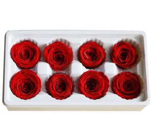 China Natural preserved fresh flowers for Valentines day Never Withered Flowers Home Decoration wholesale