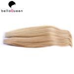 Colored Brazilian Virgin Human Hair Tape Hair Extensions for Beauty Salon