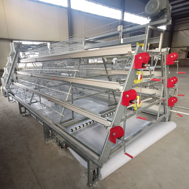 Cold Hot Galvanized A Type Broiler Baby Chick Cage High Feeding Efficiency