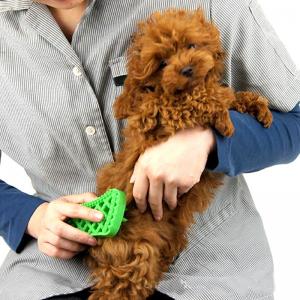China Dog Hair Pet Massage Pet Cleaning Brush Deodorant Antipruritic on sale