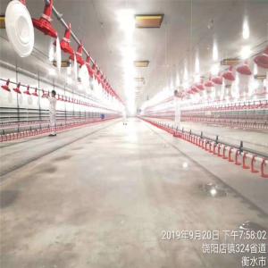 China Automatic Duck Steel 12mm Poultry Farm House wholesale