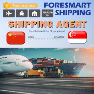 China Worldwide China To Singapore DDP Delivery Service wholesale