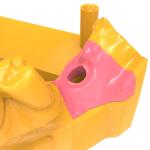 Lifelike Dental Prosthetics Gum Resin Implant Mockups Dental Model Resin