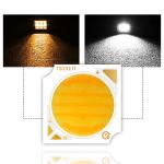 Bi-Color COB LED1919 Dual CCT 18W 25W High CRI COB LED Chip for Photography