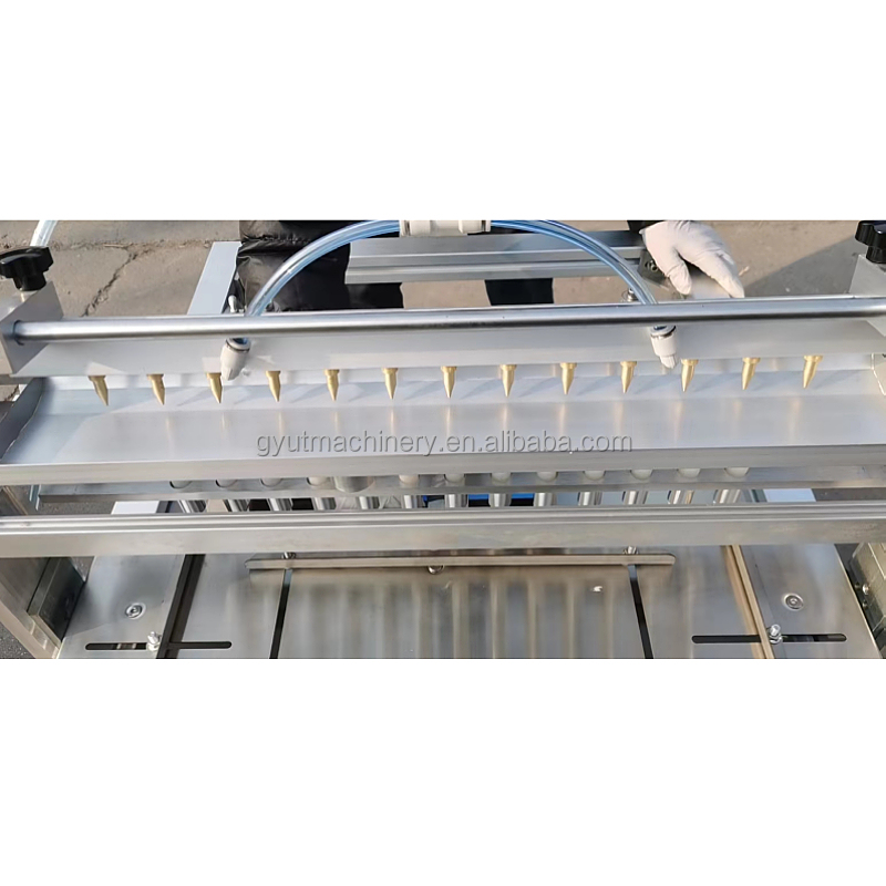 200CELL Nursery Seeder for Vegetable Seeds Fast and Accurate Chili Seed Planting