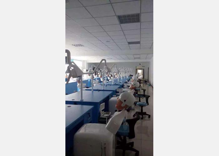 Education Teaching Dental Simulation Unit