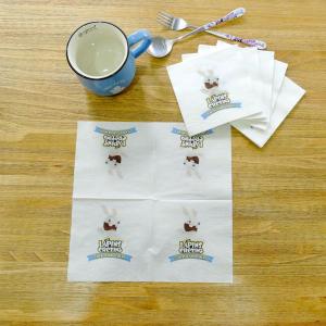China 23*23cm Soft Tissue Paper Napkin , Cocktail Dinner Paper Napkins Logo Printing wholesale