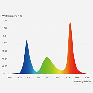 ONF Flat Nano Plus