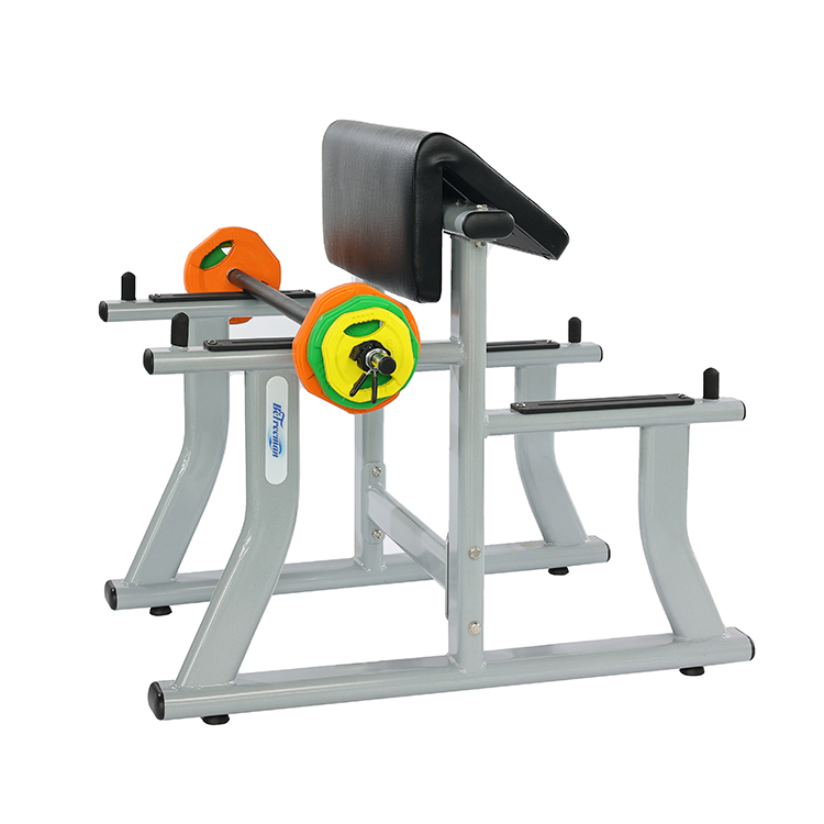 Wholesale Hot Sale High Quality Arm Curl Bench Gym Equipment Biceps Curl