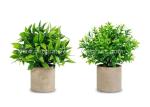Plastic PE Fake Potted Floor Plants Artificial Eucalyptus Grass 50*50cm