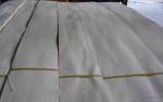 Sliced Natural Burma White Birch Wood Veneer Sheet
