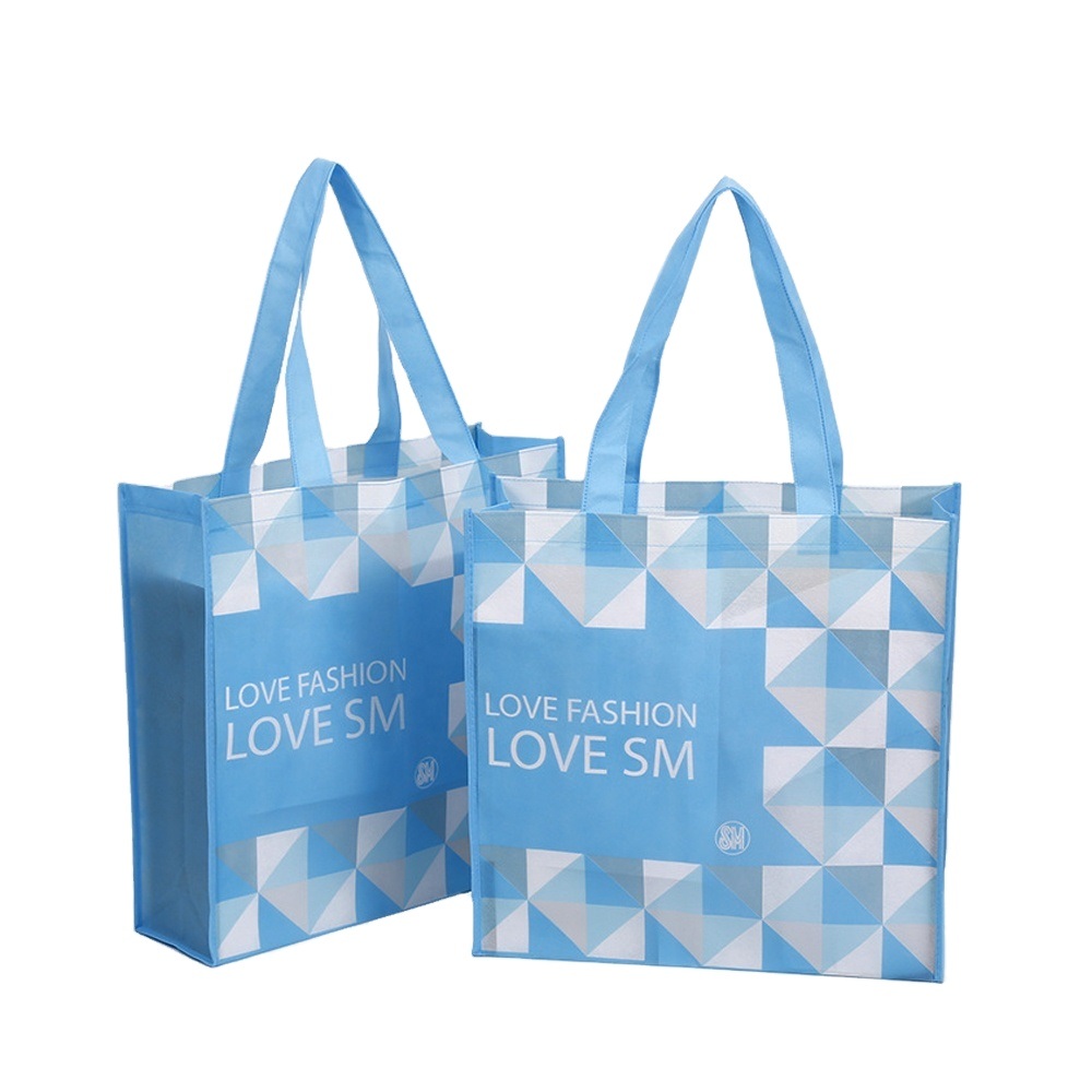 Eco Friendly Biodegradable Reusable Laminated Tote Shopping Handbags Gift Market Non Woven Fabric with Nice Design