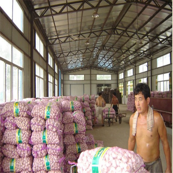 20KG MESHBAG PACKAGE NORMAL WHITE GARLIC
