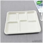 100% Biodegradable Sugarcane Pulp 5 Compartments Tray-High quality Biodegradable