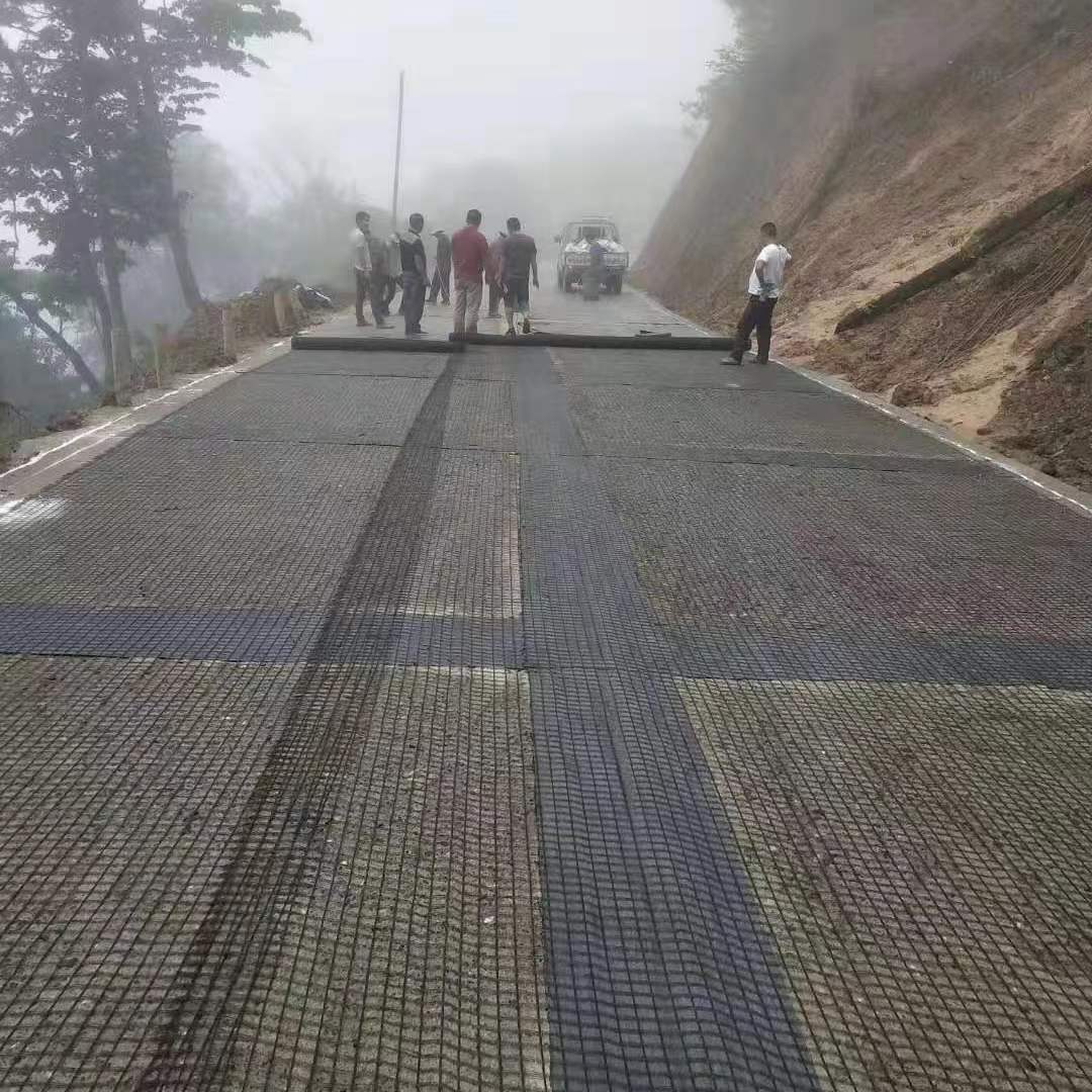 Direct Supply Good Thermal Stability Geogrids with After-Sale Service Onsite Training