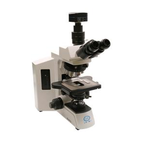 China Research Grade Upright Microscope B80 wholesale