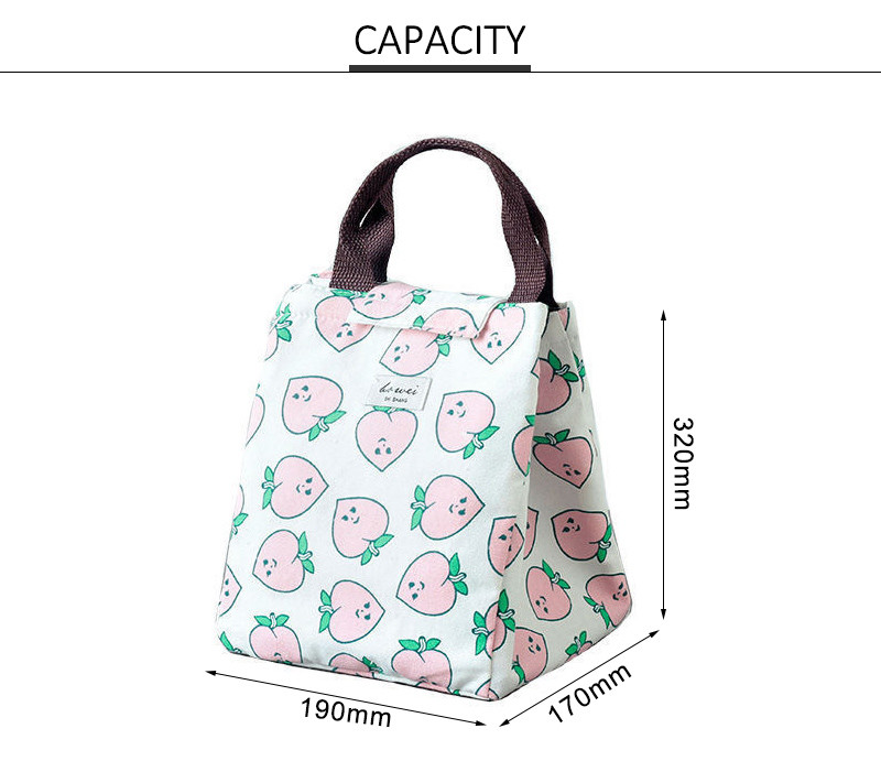L19*D17cm Silk Printing Insulated Lunch Cooler Bags