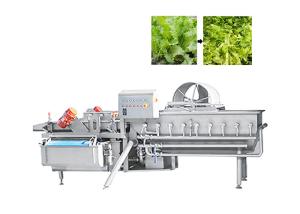 China Industrial Automatic Vortex Fruit Vegetable Washing Machine 1000KG/H wholesale