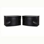 2016 Hots Professional discount KTV speakers 10-inch speakers a pair of stage