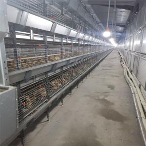 China Battery Broiler Chicken Cage Poultry Drinking System wholesale