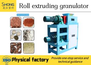 China Professional Compound Fertilizer Granulator Machine 22KW NPK Fertilizer Plant wholesale