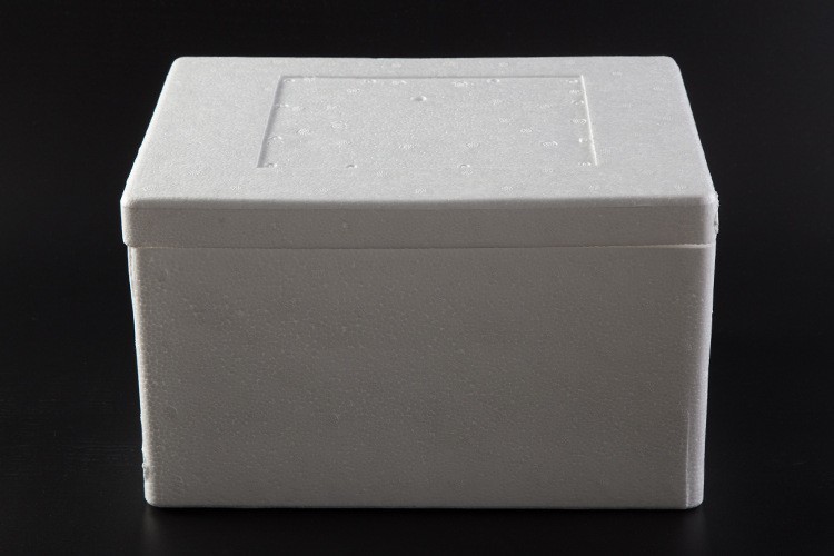 Eps Shaped Customized Polystyrene Foam Craft Packaging Lining EPS White Molding Polystyrene Foam