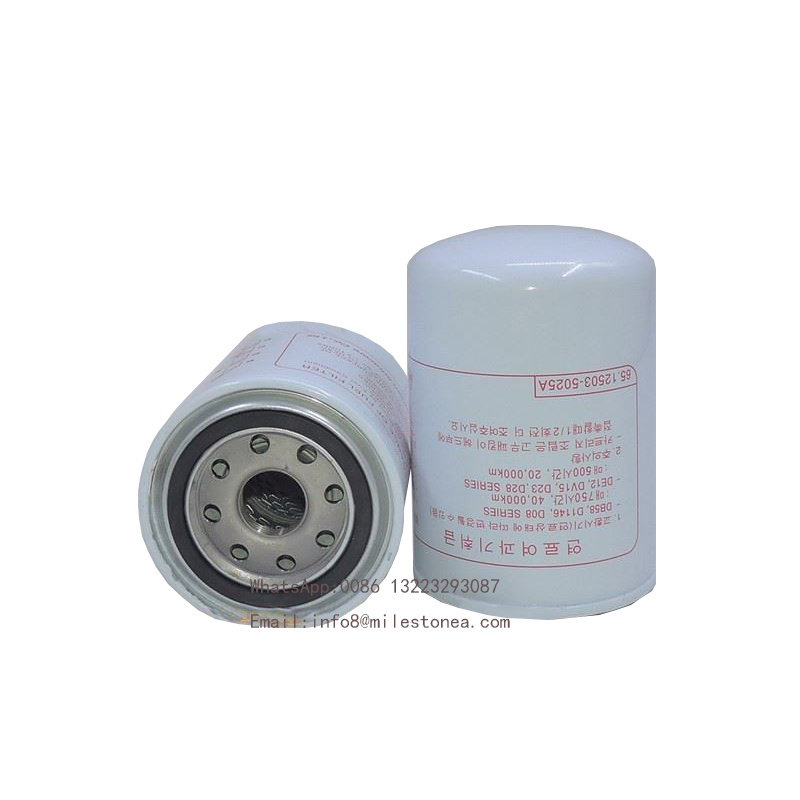 Engine Parts Fuel Filter 65.12503.5025A P550105 for Truck