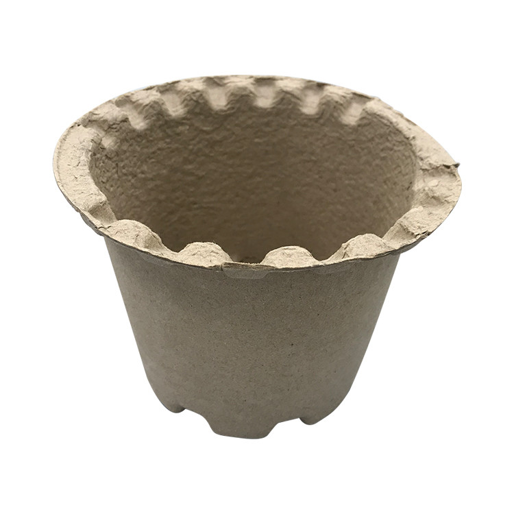 Sugarcane Bagasse Paper Molded Recycled Box Insert Trays Mold Pulp Packaging Biodegradable
