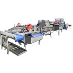304 Stainless Steel Ozone 2000kg/H Fruit Vegetable Washing Machine