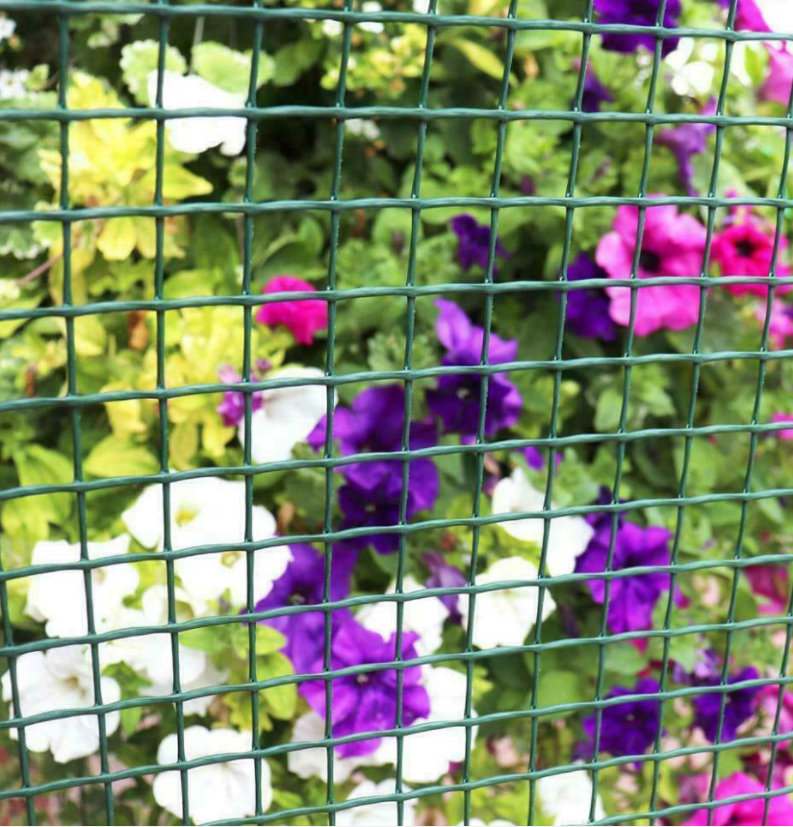 Widely Used Galvanized Welded Wire Mesh For Chicken Pens And Galvanized Welded Wire Mesh Cage