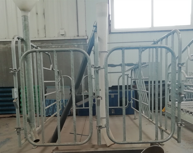 Good Heat Preservation Pig Gestation Crates Support Different Feeding Systems