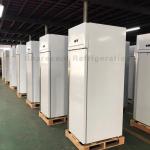 GN600TN CFC Free Stainless Steel Upright Refrigerator Single Temperature Style