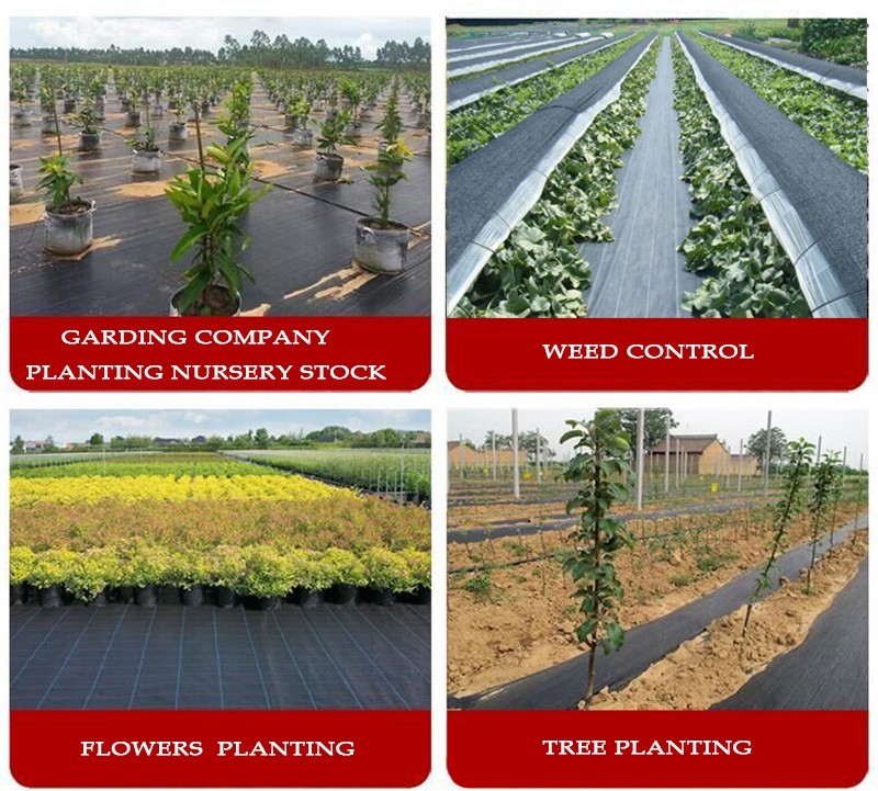 PP Woven 4mm Plastic Landscape Fabric HDPE Anti Weed Gardening Mat