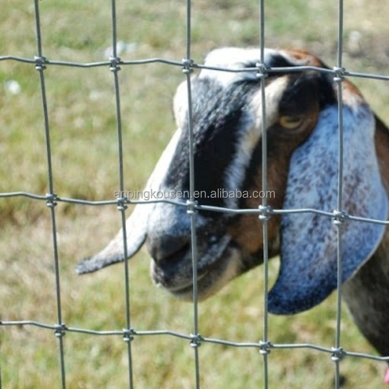 Galvanized 5-8 ft Fixed Knot Deer Cattle Fence for Farm Field Protection Square Design