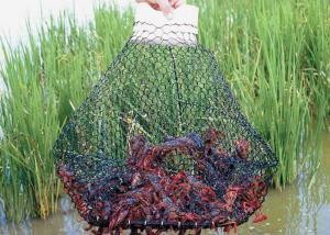 China Woven Hexagonal Net For Catching Crayfish Wire wholesale