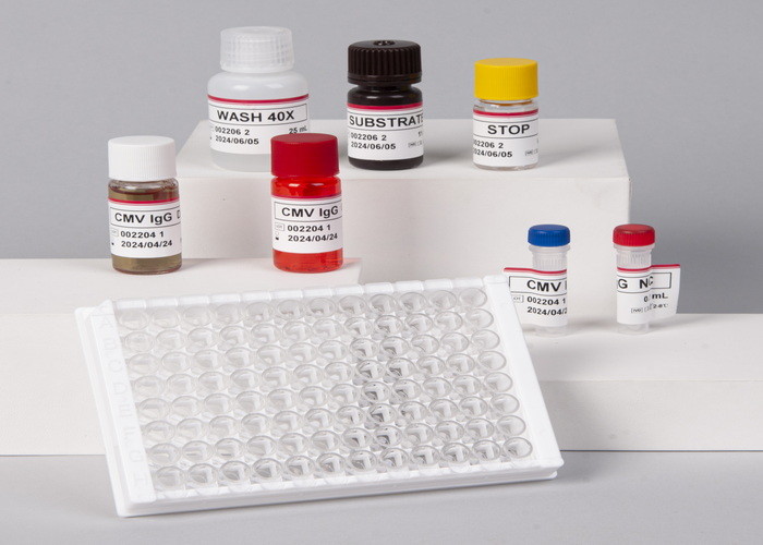 Mouse Il13 Elisa Kit Interleukin 13 Elisa Kit T-Cell Activation Protein P600