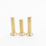 M8 Brass Wood Screws Flat Head Slotted , Outdoor Light Fixture Screws