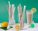 Food Grade Certified Eco Disposable 100% Biodegradable Kraft Paper Straws 12