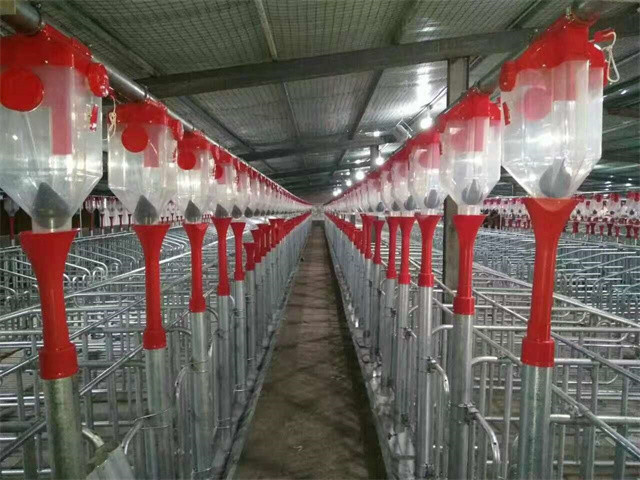 HI HOPE Swine Breeding Equipment Automatic Drinker Gestation Pens For Sows