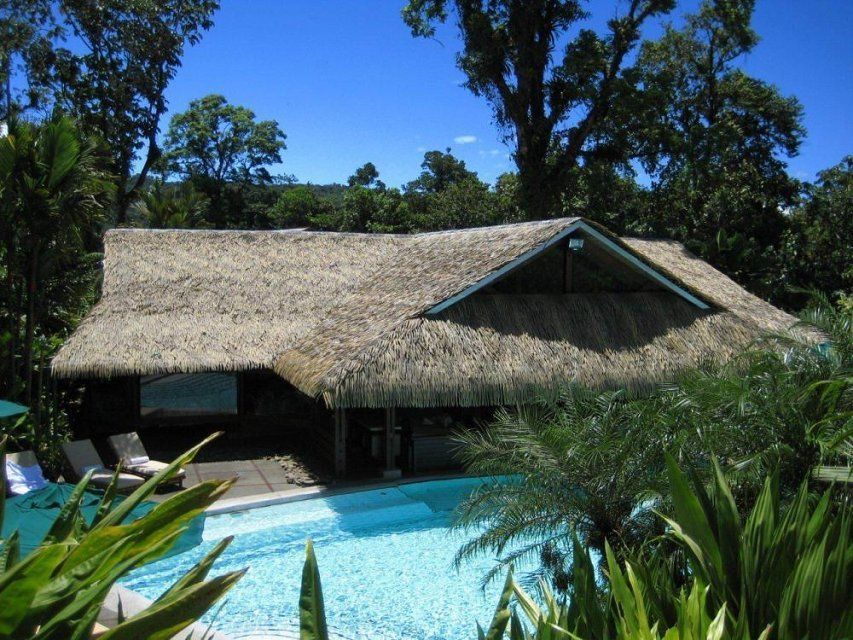 Fireproof Artificial Synthetic Simulation Thatch Roof Tiles for Garden Decorative