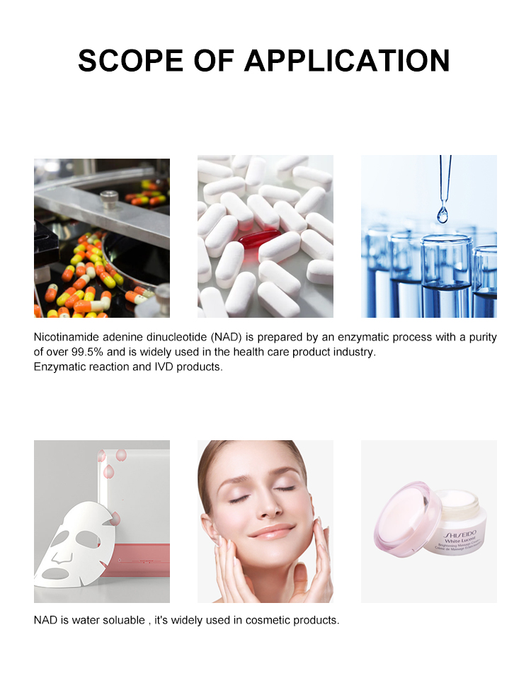 CAS 53-84-9 High Purity Nad Powder For Bulk Powder Nutrition Enhancers