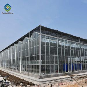 China Galvanized Multi Span 120km/H Commercial Glass Greenhouse wholesale