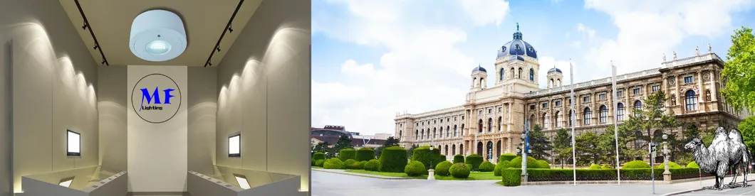 Panel Down Light LED Panic Emergency Escape Exit Sign Light IP65 Battery Backup Rechargeable Public School Hospital White