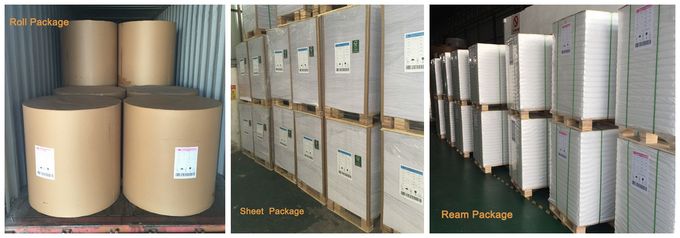 250gsm 300gsm 350gsm 400gsm 450gsm Brown Kraft Liner Board