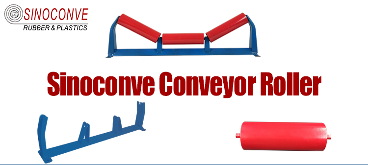 204205305306308000 Bearing Model Standard Conveyor Roller Ends for Material Handling Equipment Parts