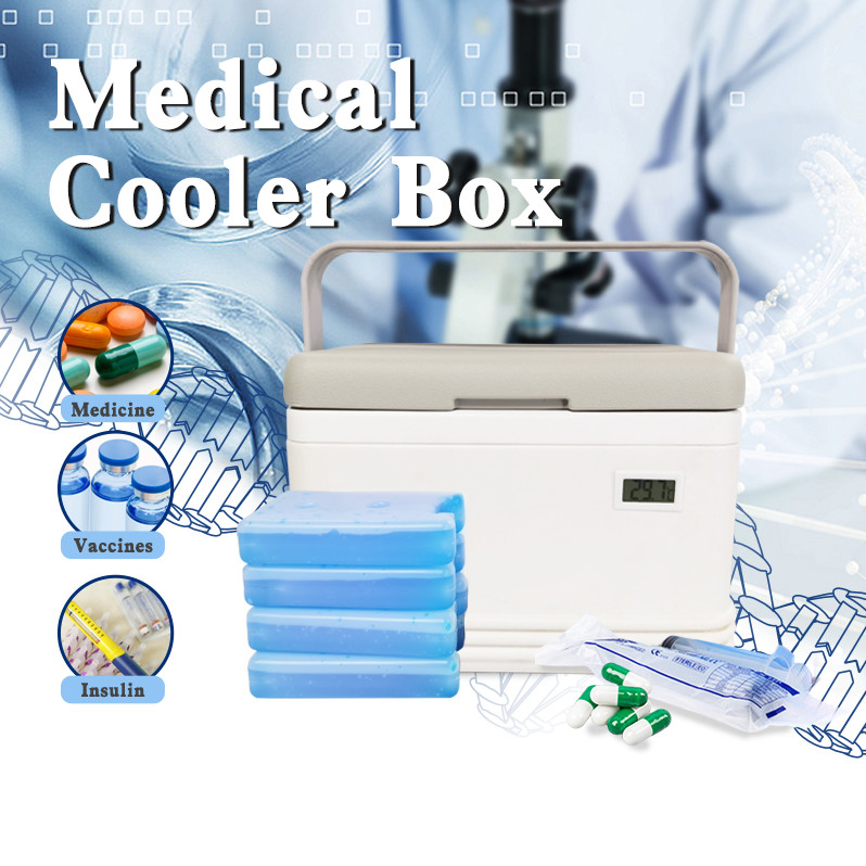 High-Performance Cooling White Color Cooler Box with Ice Packs 5L/8L